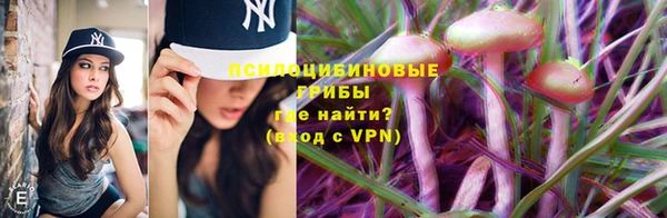 синтетический гашиш Кинешма
