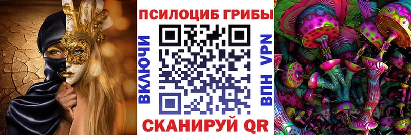 Купить где  Гагарин  Галлюциногенные грибы GOLDEN TEACHER 